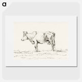 Standing cow - ジャン ベルナール Poster.