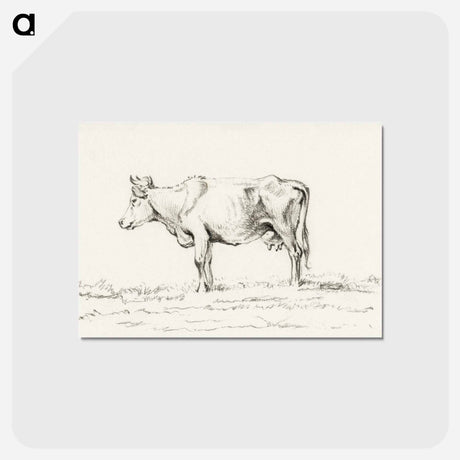 アートポストカード-Standing cow - ジャン ベルナール Postcard.