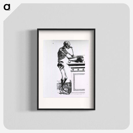 アートポスター-Human Skeleton
 - 国立医学図書館 Poster.