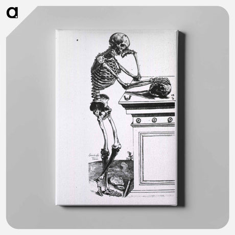 アートパネル-Human Skeleton
 - 国立医学図書館 Canvas.