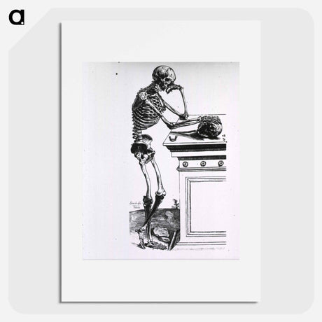 アートポスター-Human Skeleton
 - 国立医学図書館 Poster.