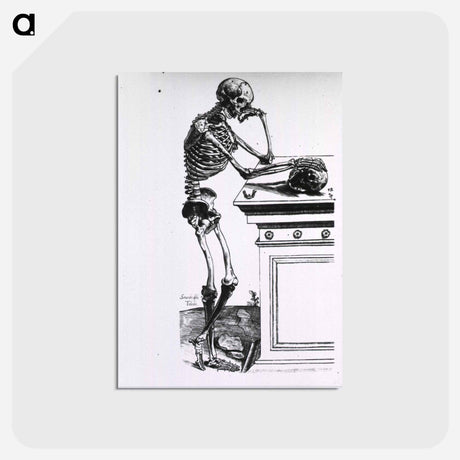 アートポストカード-Human Skeleton
 - 国立医学図書館 Postcard.