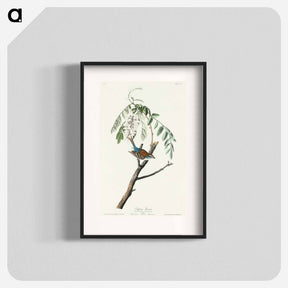 アートポスター-Chipping Sparrow from Birds of America
 - アメリカの鳥たち Poster.