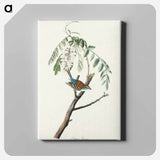 アートパネル-Chipping Sparrow from Birds of America
 - アメリカの鳥たち Canvas.