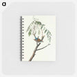 アートメモ帳-Chipping Sparrow from Birds of America
 - アメリカの鳥たち Memo.
