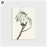 アートポストカード-Chipping Sparrow from Birds of America
 - アメリカの鳥たち Postcard.