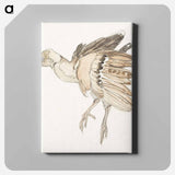 Dood vogeltje patrijs? - テオ ヴァン ホイテマ Canvas.