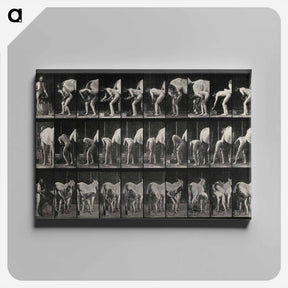 アートパネル-Shoeing the Horse
 - エドワード マイブリッジ Canvas.