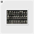 アートポストカード-Shoeing the Horse
 - エドワード マイブリッジ Postcard.