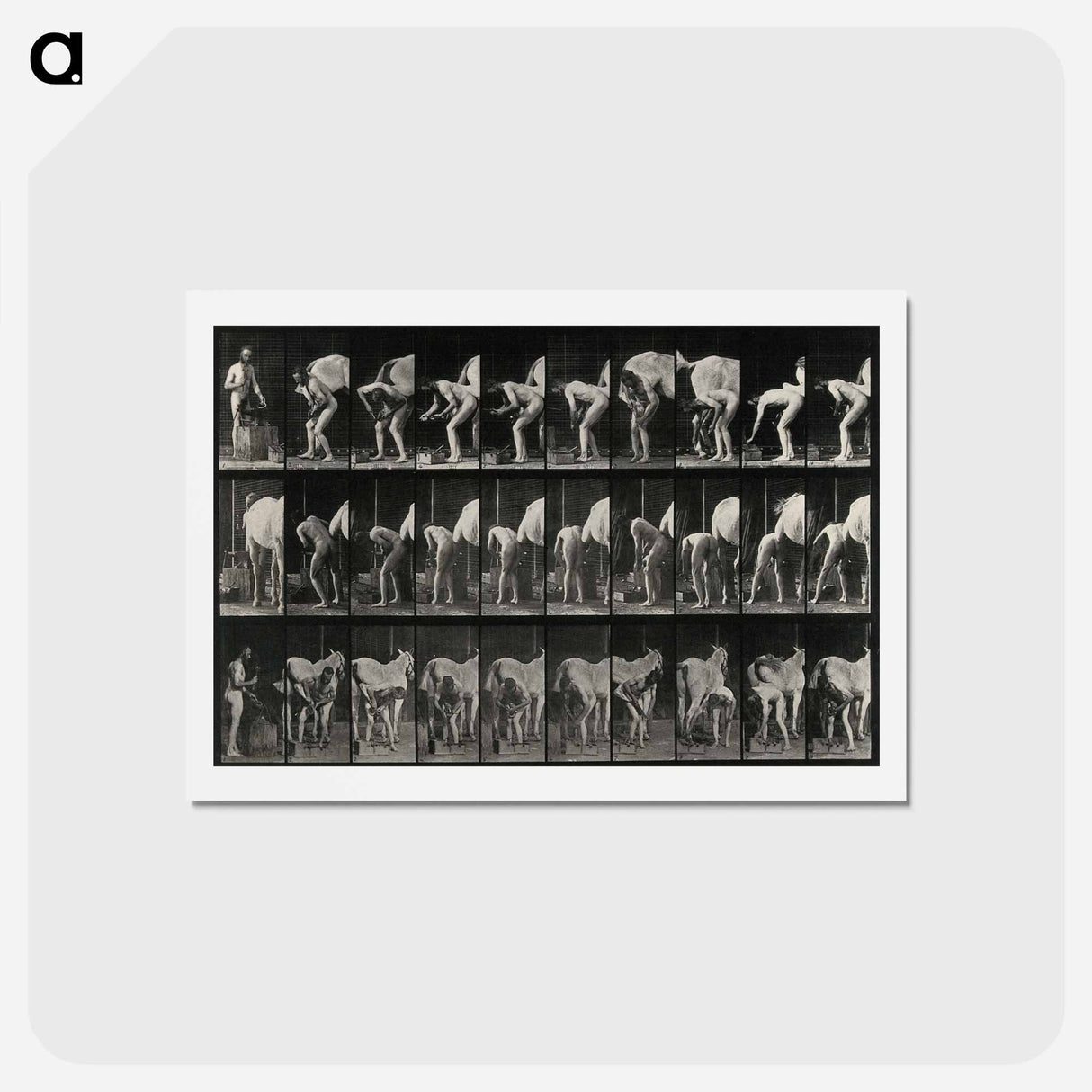 アートポストカード-Shoeing the Horse
 - エドワード マイブリッジ Postcard.