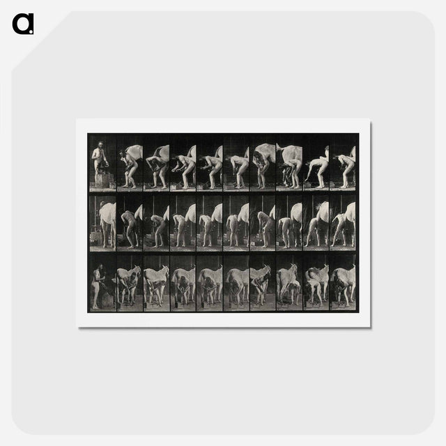 アートポストカード-Shoeing the Horse
 - エドワード マイブリッジ Postcard.