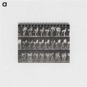 アートメモ帳-Shoeing the Horse
 - エドワード マイブリッジ Memo.
