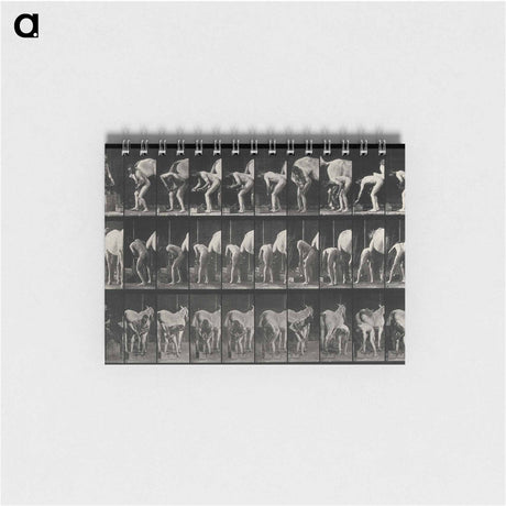 アートメモ帳-Shoeing the Horse
 - エドワード マイブリッジ Memo.