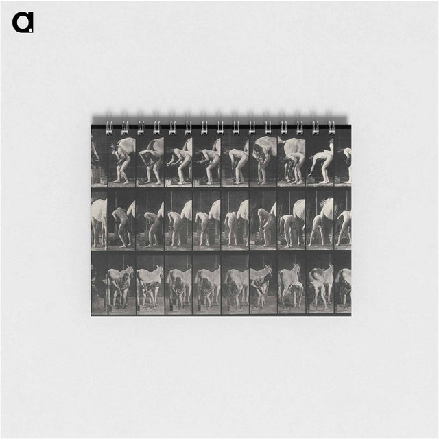アートメモ帳-Shoeing the Horse
 - エドワード マイブリッジ Memo.