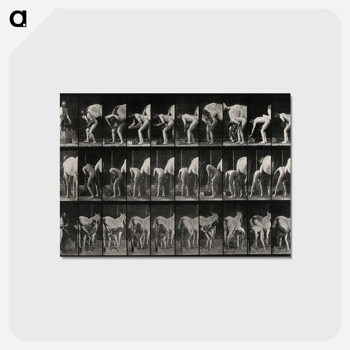 アートポストカード-Shoeing the Horse
 - エドワード マイブリッジ Postcard.