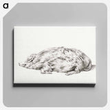 アートパネル-Lying pig - ジャン ベルナール Canvas.