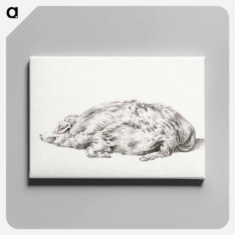 アートパネル-Lying pig - ジャン ベルナール Canvas.