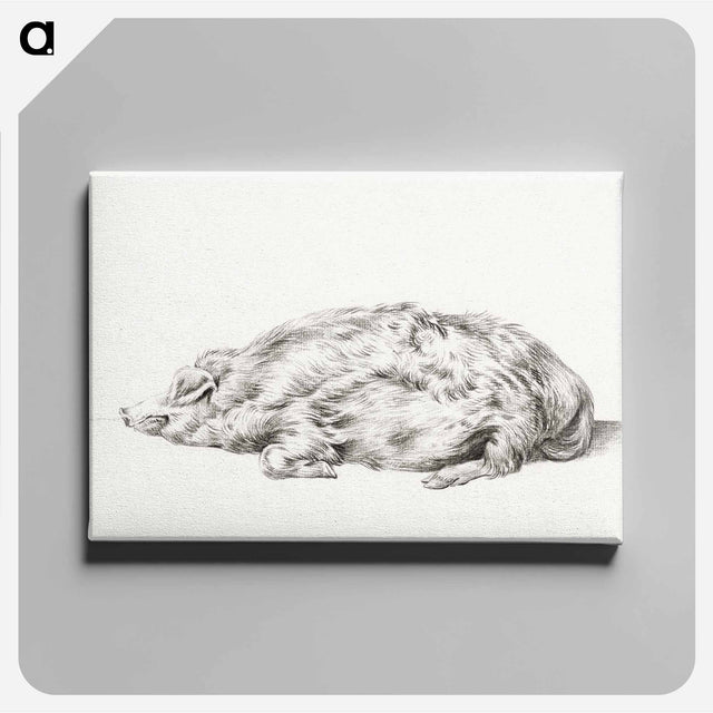アートパネル-Lying pig - ジャン ベルナール Canvas.