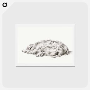 アートポストカード-Lying pig - ジャン ベルナール Postcard.