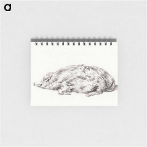 アートメモ帳-Lying pig - ジャン ベルナール Memo.