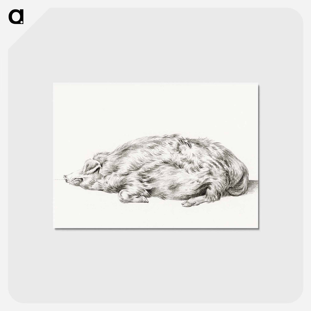 アートポストカード-Lying pig - ジャン ベルナール Postcard.