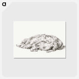 アートポストカード-Lying pig - ジャン ベルナール Postcard.