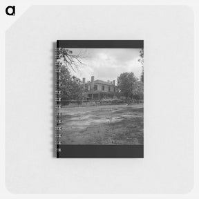 アートメモ帳-Untitled photo - ドロテア ラング Memo.