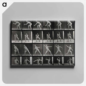 アートパネル-Man Catching and Throwing
 - エドワード マイブリッジ Canvas.