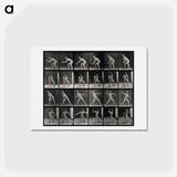 アートポストカード-Man Catching and Throwing
 - エドワード マイブリッジ Postcard.