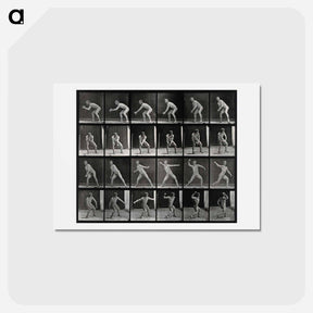 アートポストカード-Man Catching and Throwing
 - エドワード マイブリッジ Postcard.
