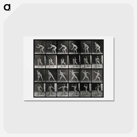 アートポストカード-Man Catching and Throwing
 - エドワード マイブリッジ Postcard.