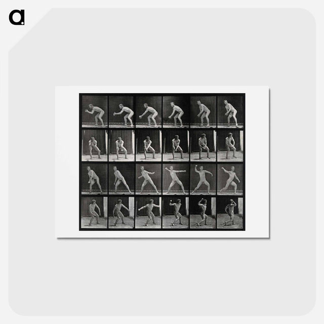 アートポストカード-Man Catching and Throwing
 - エドワード マイブリッジ Postcard.