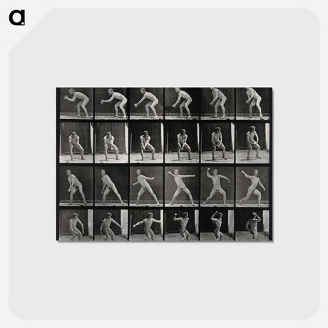 アートポストカード-Man Catching and Throwing
 - エドワード マイブリッジ Postcard.