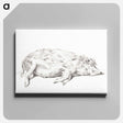 アートパネル-Lying pig - ジャン ベルナール Canvas.
