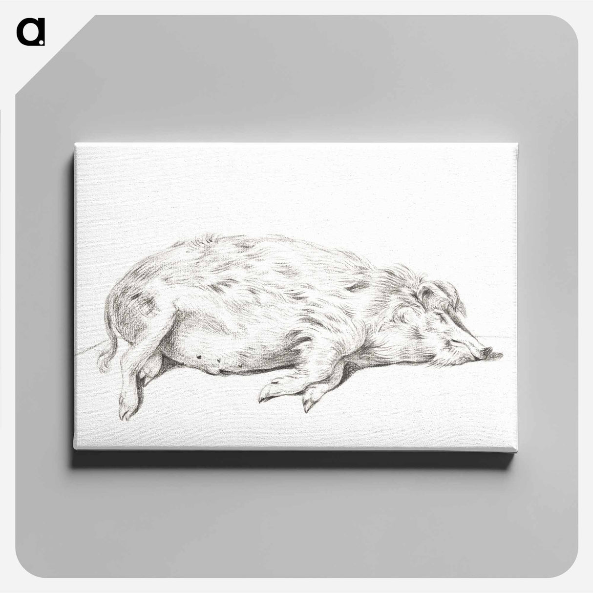 アートパネル-Lying pig - ジャン ベルナール Canvas.