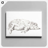 アートパネル-Lying pig - ジャン ベルナール Canvas.
