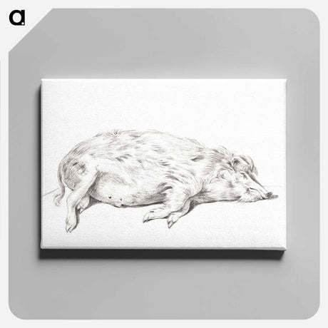 アートパネル-Lying pig - ジャン ベルナール Canvas.