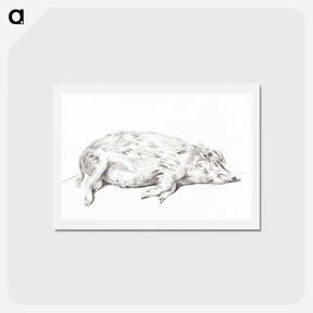 アートポストカード-Lying pig - ジャン ベルナール Postcard.