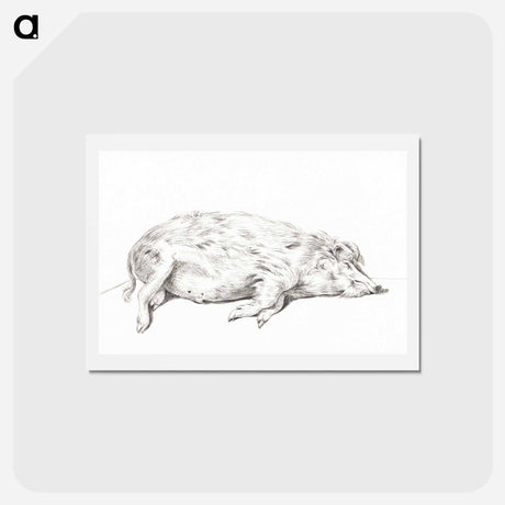 アートポストカード-Lying pig - ジャン ベルナール Postcard.