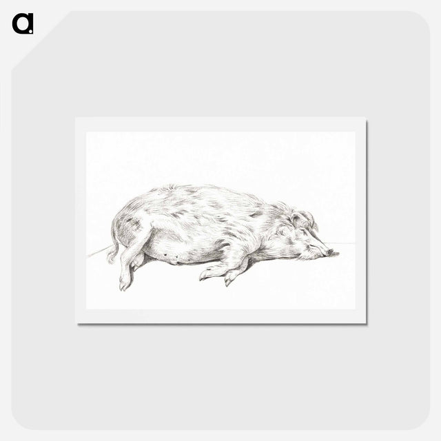 アートポストカード-Lying pig - ジャン ベルナール Postcard.
