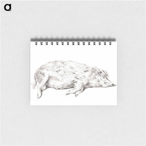 アートメモ帳-Lying pig - ジャン ベルナール Memo.