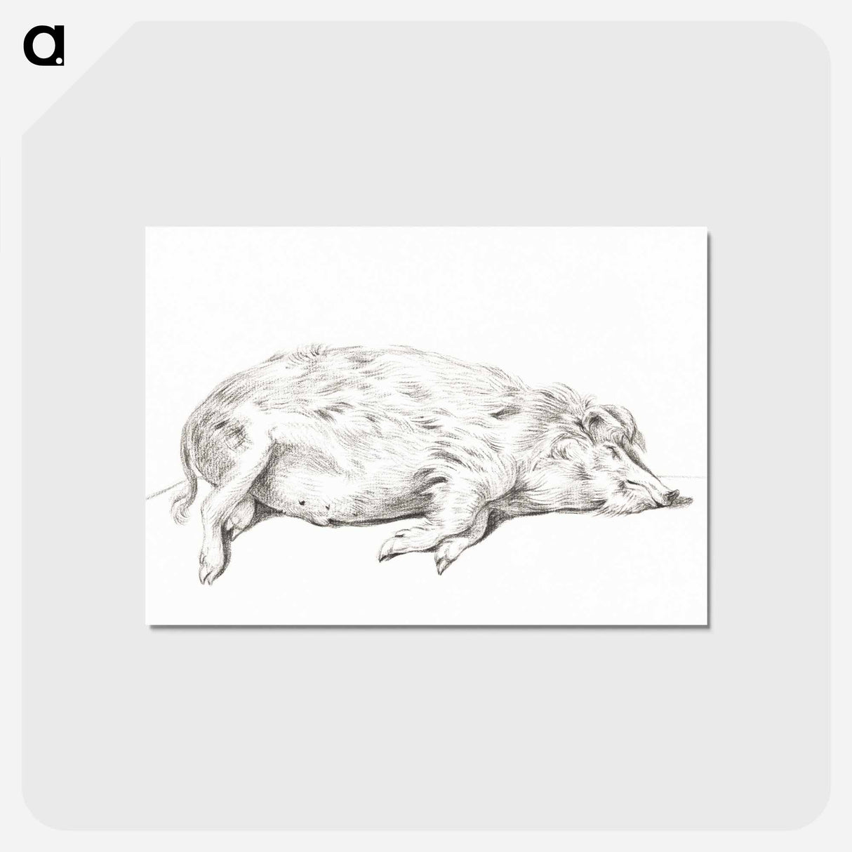 アートポストカード-Lying pig - ジャン ベルナール Postcard.