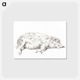 アートポストカード-Lying pig - ジャン ベルナール Postcard.
