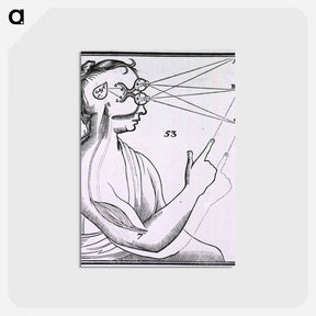 アートポストカード-Vision and the Mechanism for Response to External Stimuli
 - 国立医学図書館 Postcard.