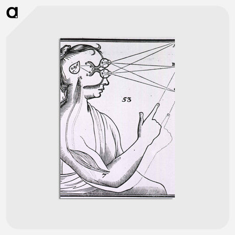 アートポストカード-Vision and the Mechanism for Response to External Stimuli
 - 国立医学図書館 Postcard.