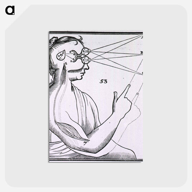 アートポストカード-Vision and the Mechanism for Response to External Stimuli
 - 国立医学図書館 Postcard.