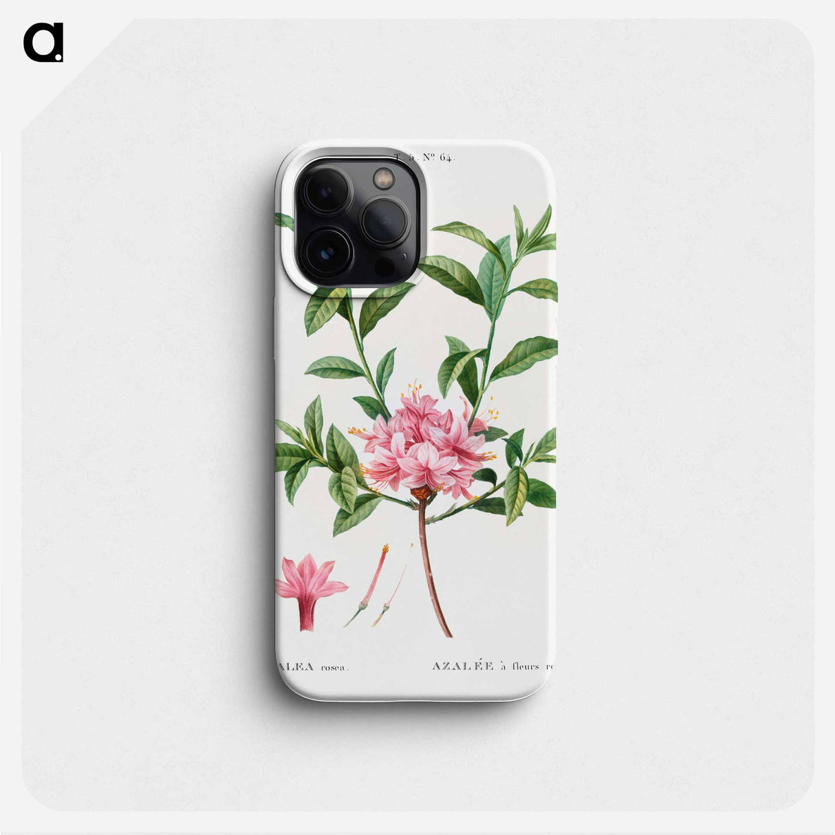 Azalea - Pierre Joseph Redouté Phone Case.