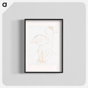 アートポスター-Twee studies van een flamingo - テオ ヴァン ホイテマ Poster.