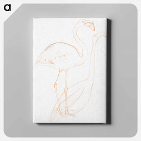 アートパネル-Twee studies van een flamingo - テオ ヴァン ホイテマ Canvas.
