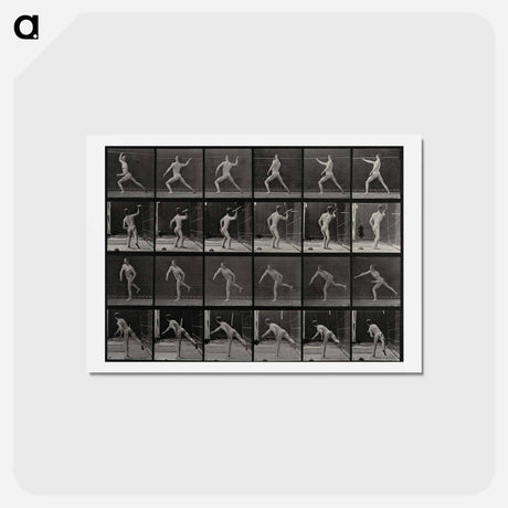アートポストカード-Javelin Thrower
 - エドワード マイブリッジ Postcard.